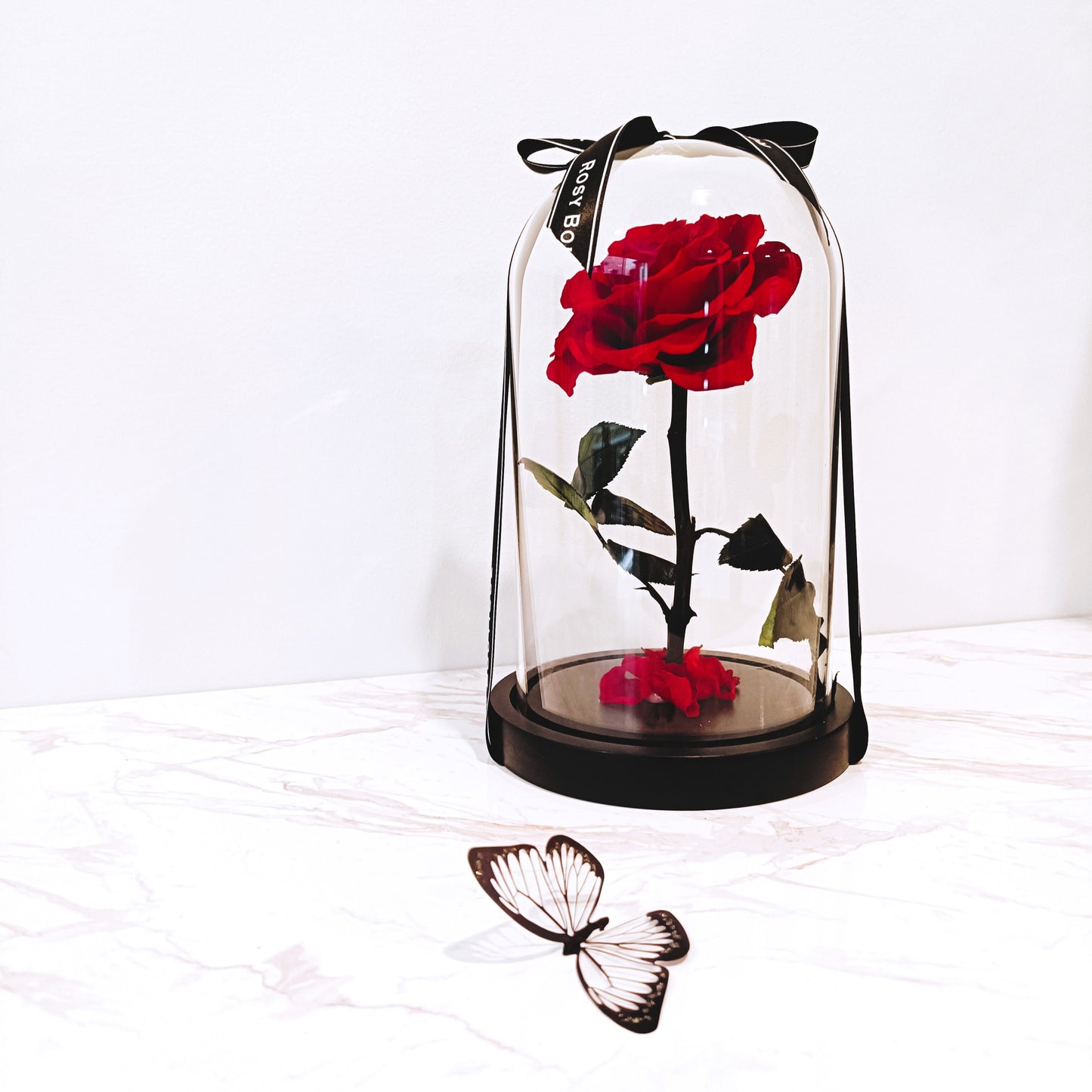 REAL Preserved RED Rose Dome