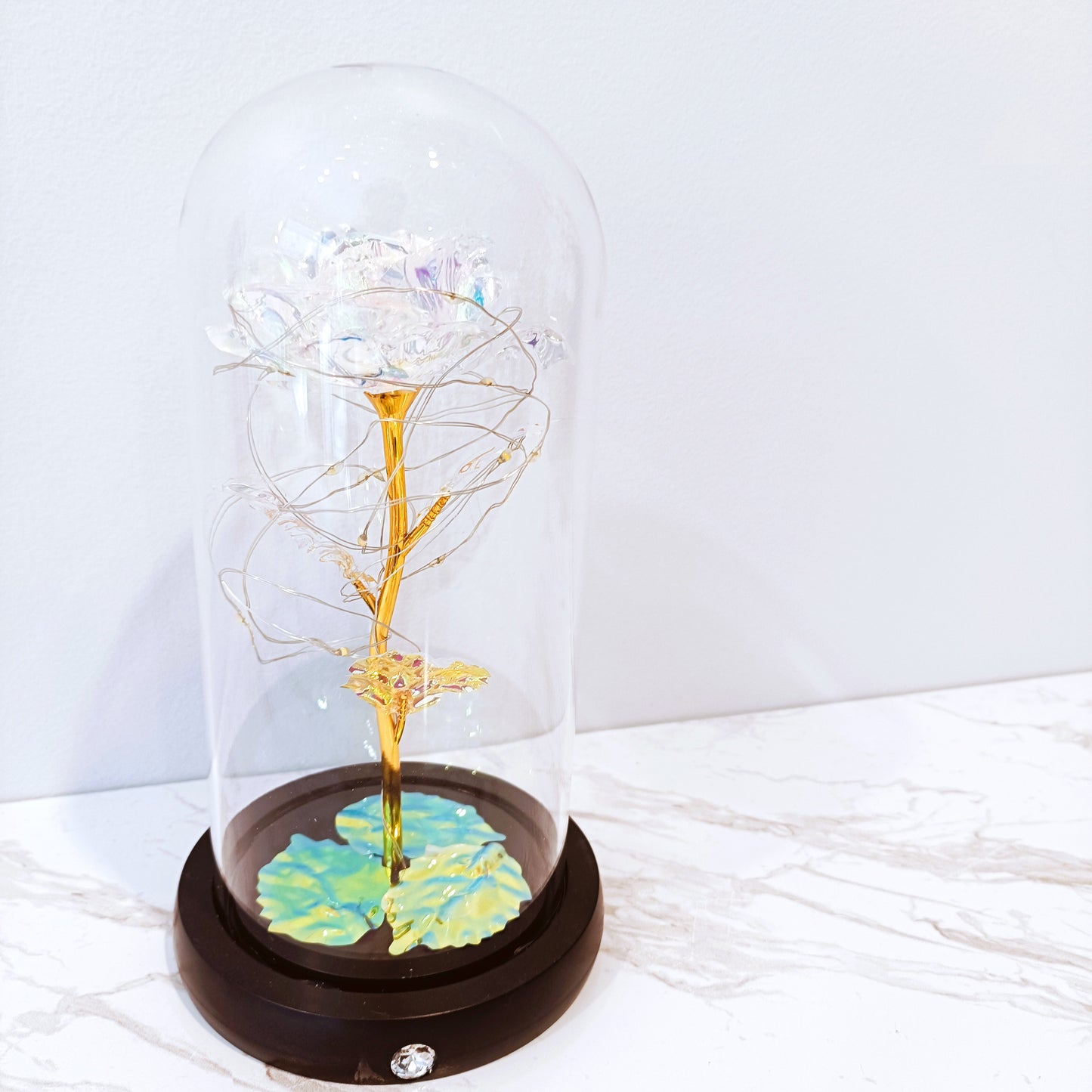 Galaxy Rose Dome