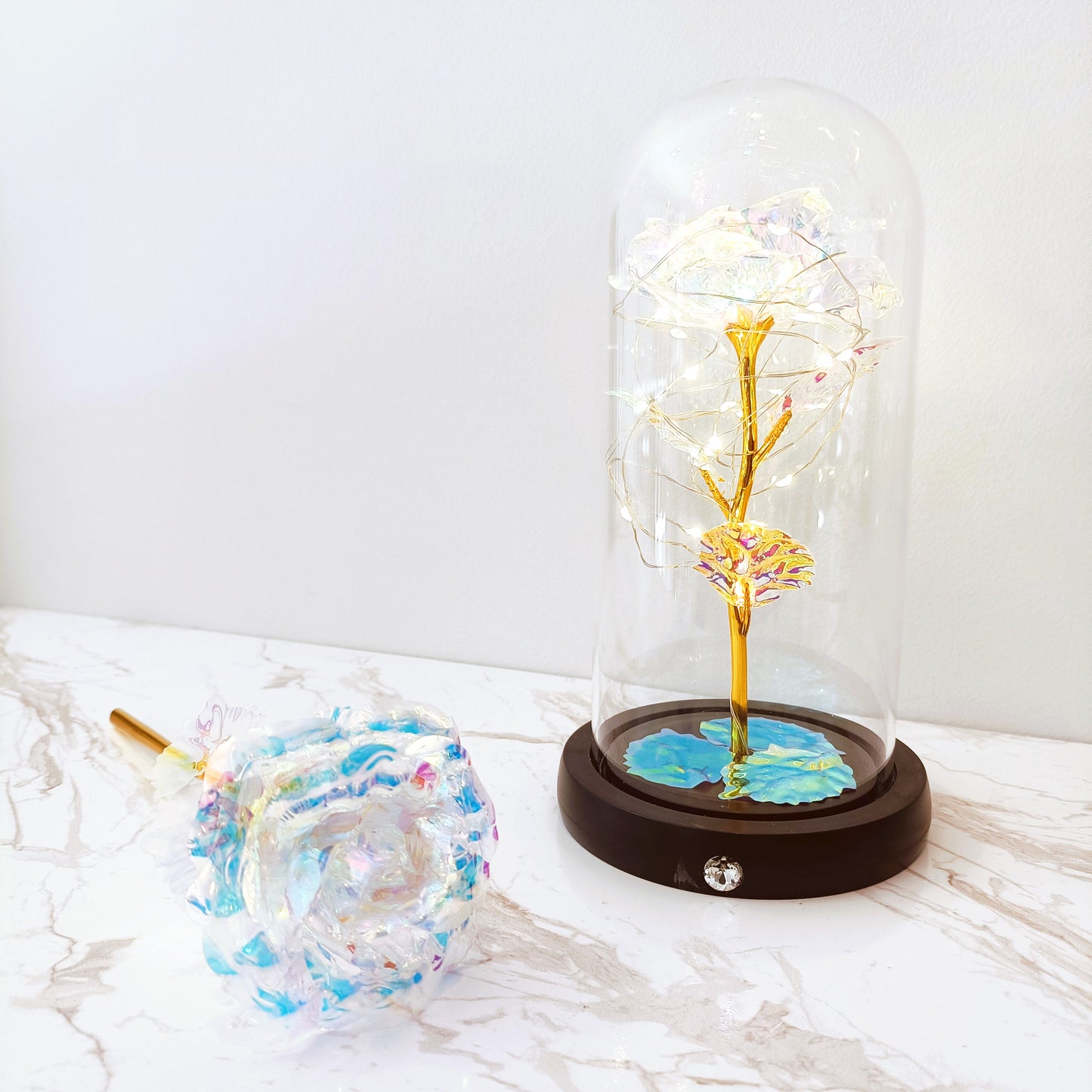 Galaxy Rose Dome