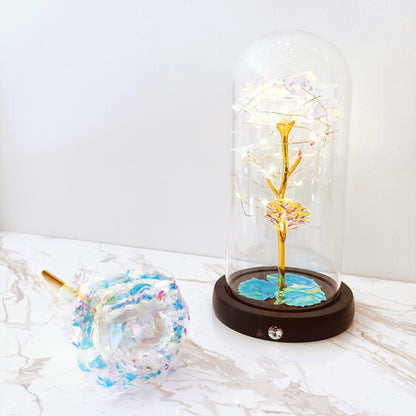 Galaxy Rose Dome