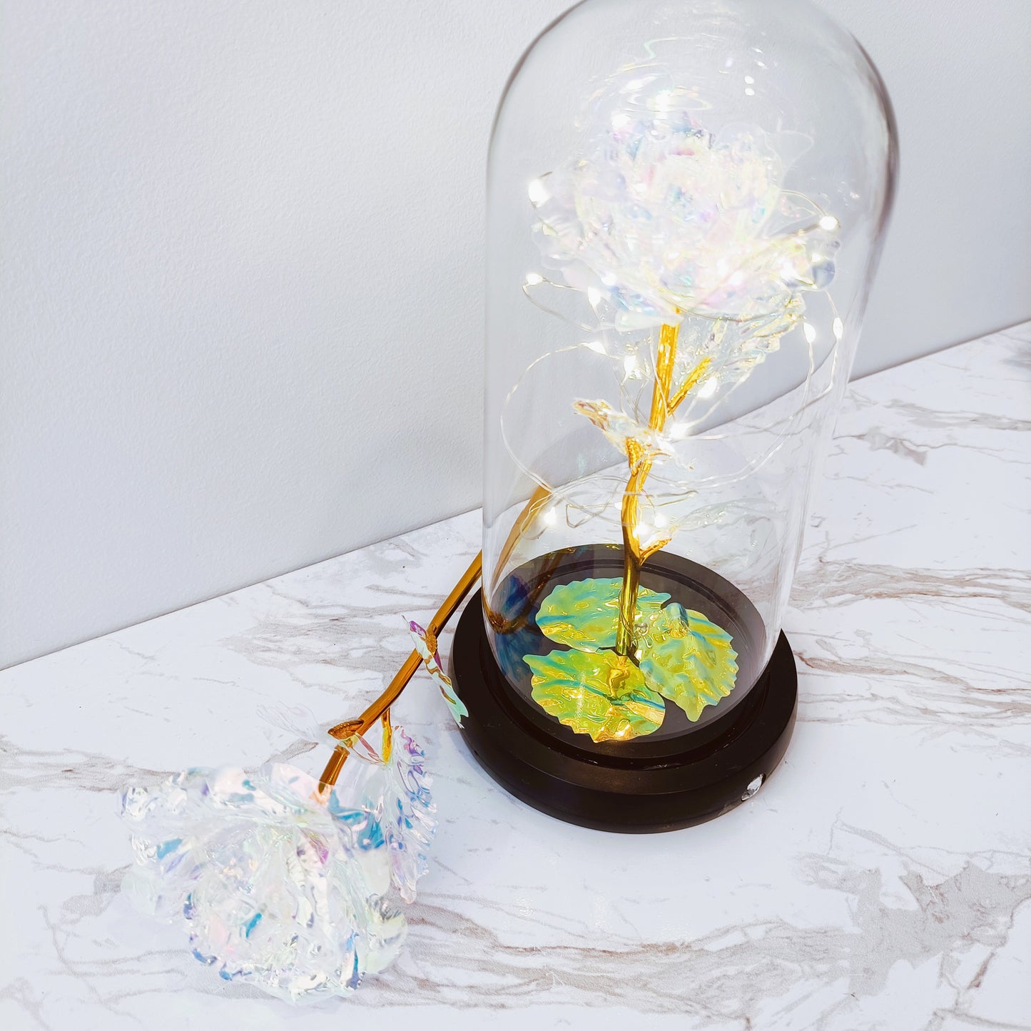 Galaxy Rose Dome