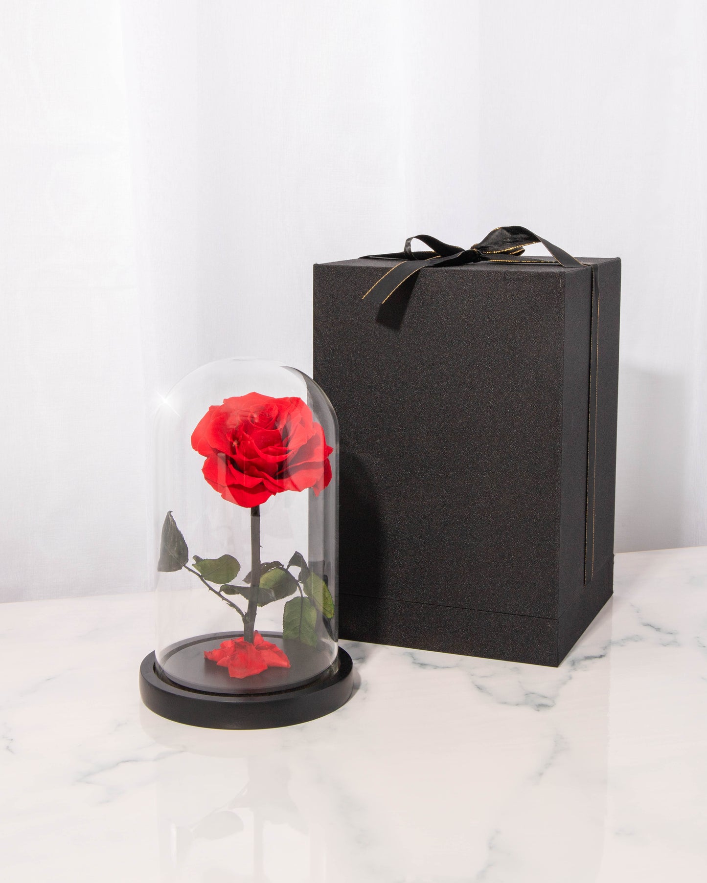 REAL Preserved RED Rose Dome