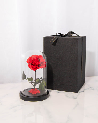 REAL Preserved RED Rose Dome