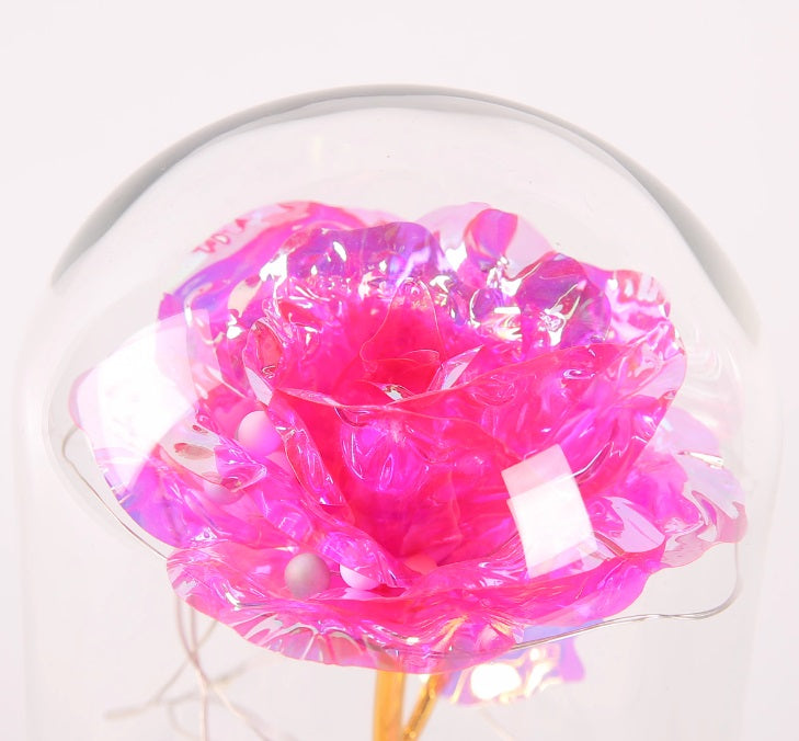 Galaxy Rose Dome
