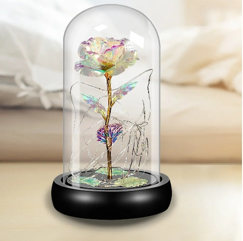 Galaxy Rose Dome