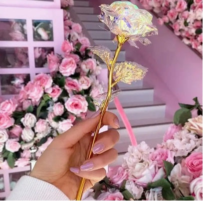 White Sparkle Single Rose